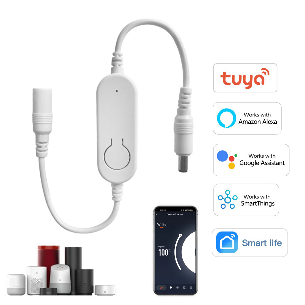 DC12V-24V Tuya Wifi LED Strip  – Smart Garden Light Controller recenzja i cena