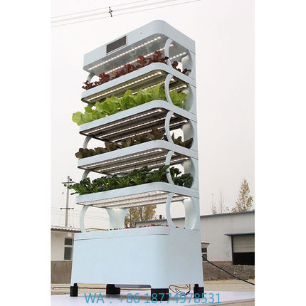 Systemy hydroponiczne do upraw – Smart Garden Home recenzja i cena