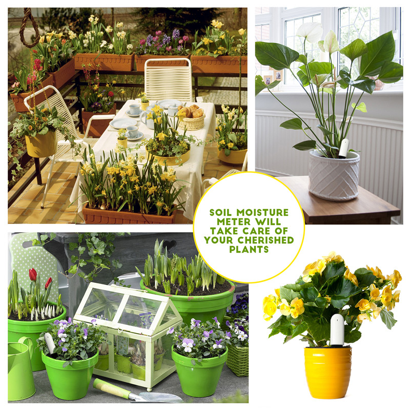 HHCC Flower Care Max Inteligen – Smart Garden Xiaomi recenzja i cena