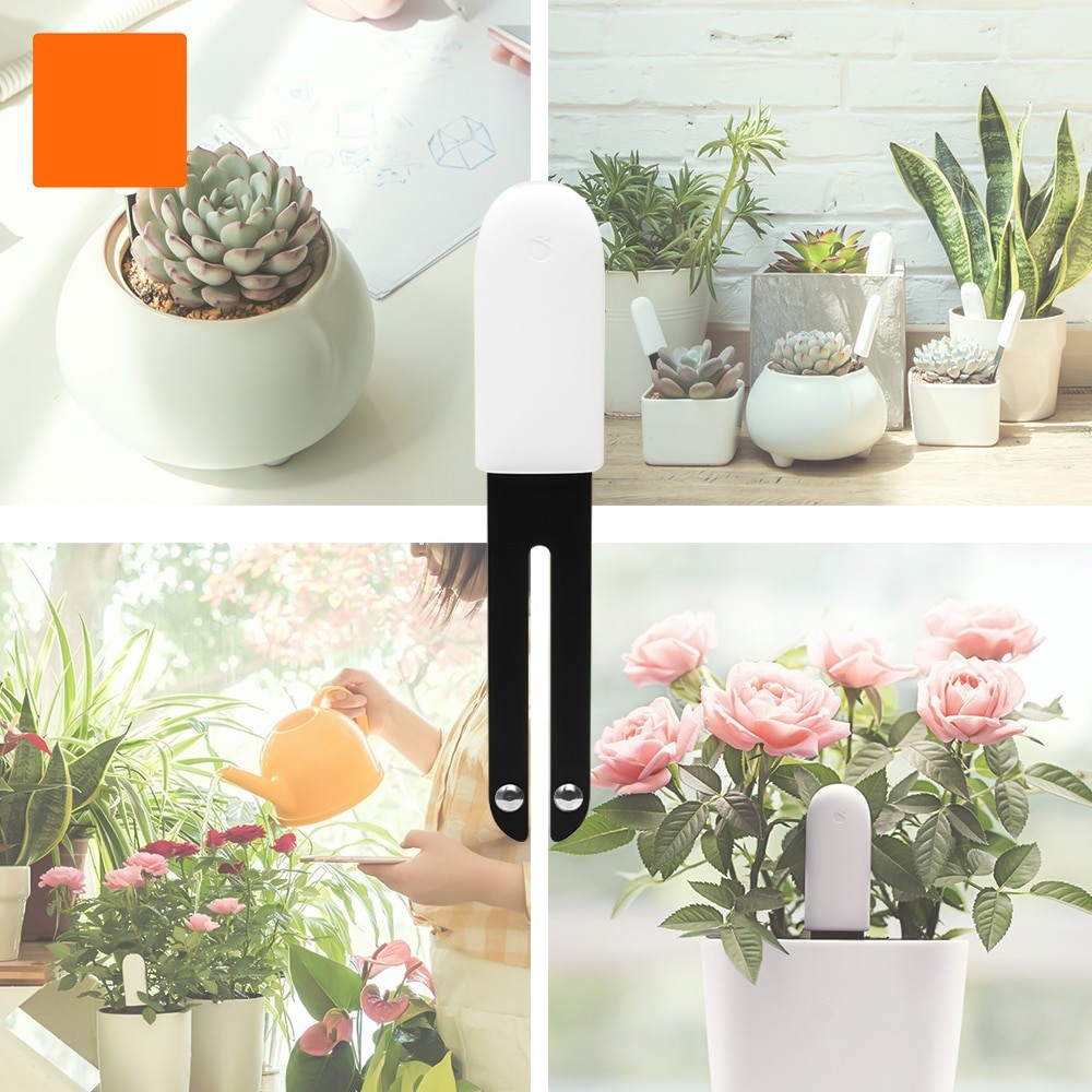 HHCC inteligentny kwiat Flora  – Smart Garden Xiaomi recenzja i cena