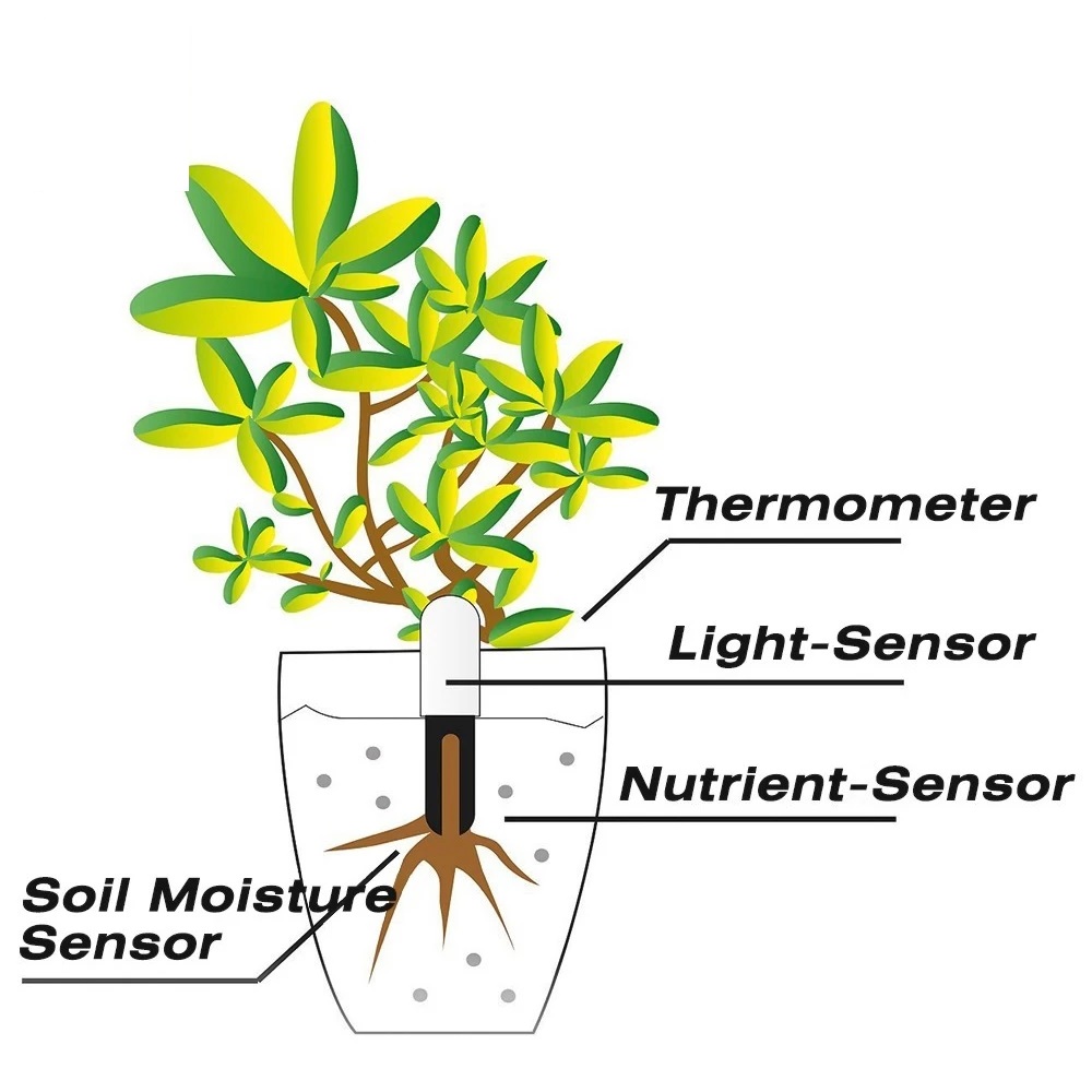 HHCC Flower Monitor Flora Gard – Smart Garden Xiaomi recenzja i cena